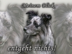 Hundewarnschild Alpenhütehund #1