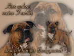 Aluminiumschild American Staffordshire Terrier