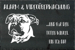 Schieferplatte American Staffordshire Terrier