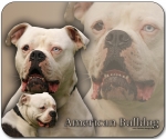 Mousepad American Bulldog