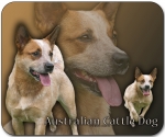 Mousepad Australian Cattle Dog