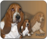 Mousepad Basset