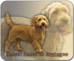 Mousepad Basset Fauve de Bretagne