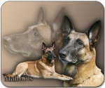 Mousepad Malinois