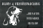 Schieferplatte Berner Laufhund