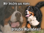 Hundewarnschild Berner Sennenhund #8