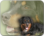 Mousepad Berner Sennenhund