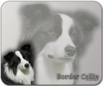 Mousepad Border Collie