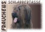 Fototasse Briard