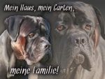 Aluminiumschild Cane Corso