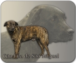 Mousepad Cão Fila de São Miguel