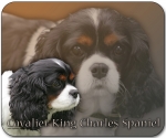 Mousepad Cavalier King Charles Spaniel