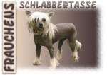 Fototasse Chinese Crested