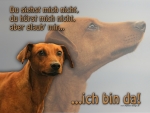 Hundewarnschild Deutscher Pinscher #2