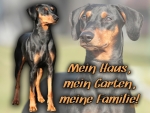 Hundewarnschild Deutscher Pinscher #3