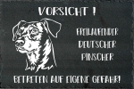 Schieferplatte Deutscher Pinscher