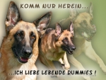 Aluminiumschild Deutscher Schäferhund