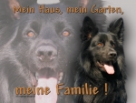 Hundewarnschild (Altdeutscher) Deutscher Schäferhund #21
