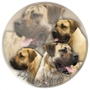 Aufkleber Dogo Canario 01 rund