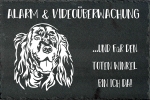 Schieferplatte Englischer Setter