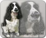 Mousepad Englischer Springer Spaniel