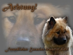 Hundewarnschild Eurasier #1