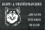 Schieferplatte Finnischer Lapphund