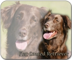 Mousepad Flat-coated Retriever