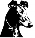 Aufkleber Galgo Kopf