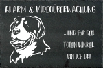 Schieferplatte Großer Schweizer Sennenhund