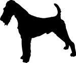 Irish Terrier stehend Silhouette