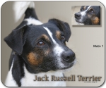 Mousepad Jack Russell Terrier