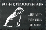 Schieferplatte Komondor