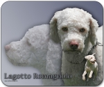 Mousepad Lagotto Romagnolo