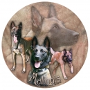 Aufkleber Malinois, rund