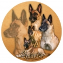 Aufkleber Malinois 02 rund