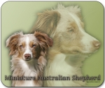 Mousepad Miniature Australian Shepherd