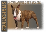 Fototasse Miniature Bullterrier