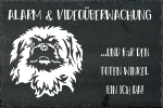 Schieferplatte Pekingese