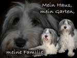Hundewarnschild Polnischer Niederungshütehund (Pon) #1