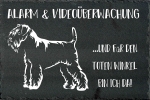 Schieferplatte Schnauzer