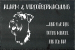 Schieferplatte Schnauzer