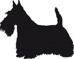 Scottish Terrier stehend Silhouette