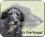 Mousepad Scottish Deerhound