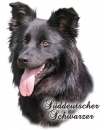 Fototasse Altdeutscher Hütehund