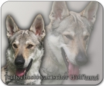 Mousepad Tschechoslowakischer Wolfhund