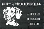 Schieferplatte Weimaraner