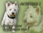 Aluminiumschild west highland terrier