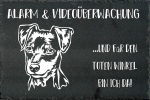 Schieferplatte Zwergpinscher