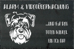 Schieferplatte Zwergschnauzer